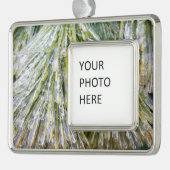 氷被覆松針冬植物学 シルバープレートフレームオーナメント (左)