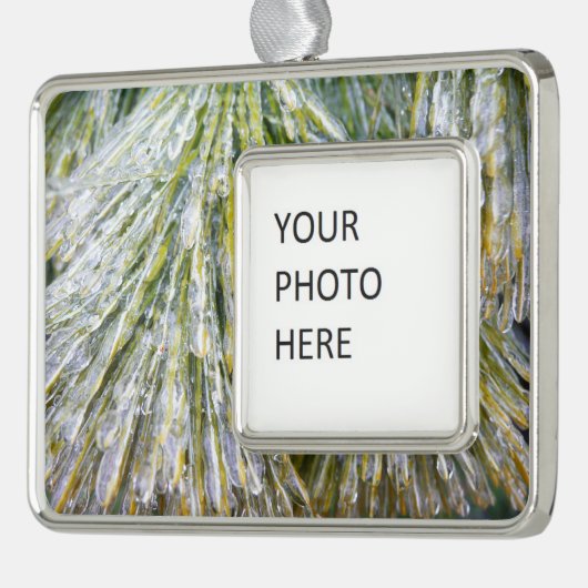 氷被覆松針冬植物学 シルバープレートフレームオーナメント (左)