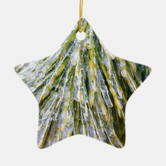 氷被覆松針冬植物学 セラミックオーナメント (正面)