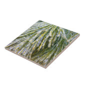 氷被覆松針冬植物学 タイル (側面)