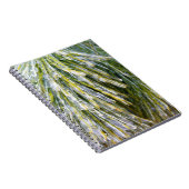 氷被覆松針冬植物学 ノートブック (右側)