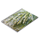 氷被覆松針冬植物学 ノートブック (左側)