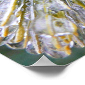 氷被覆松針冬植物学 ポスター (角)