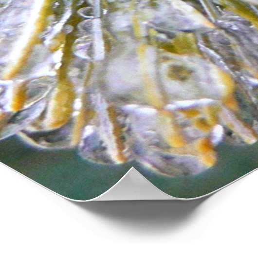 氷被覆松針冬植物学 ポスター (角)