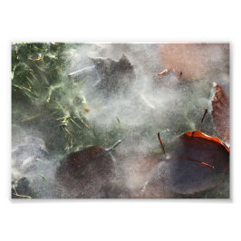 氷離れ下 フォトプリント           