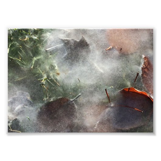 氷離れ下 フォトプリント            (正面)