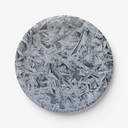 氷霜の結晶テクスチャイメージ ペーパープレート (正面)