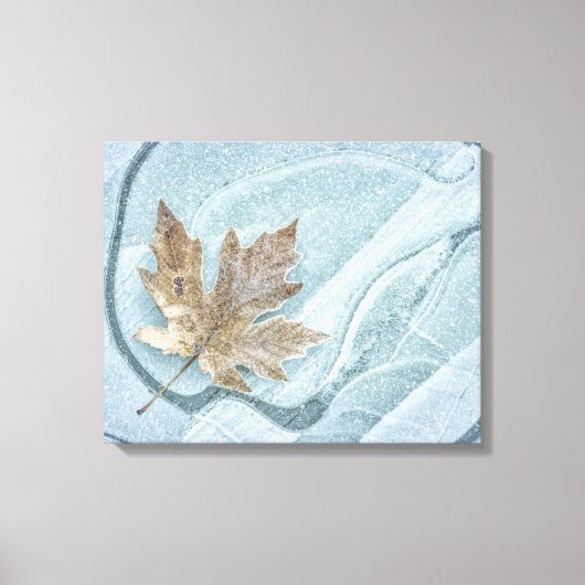 氷霜の降りたにモメ凍っていジの葉 キャンバスプリント (正面)