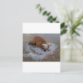 氷、ダムの犬私は熱いです ポストカード (スタンド正面)