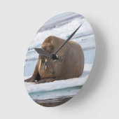 氷、ノルウェーで休んでいるセイウチ ラウンド壁時計 (傾斜)