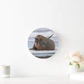 氷、ノルウェーで休んでいるセイウチ ラウンド壁時計 (ホーム)