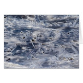 氷、ICEではない (正面横)