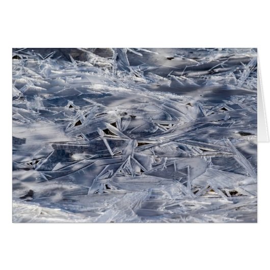 氷、ICEではない (正面横)