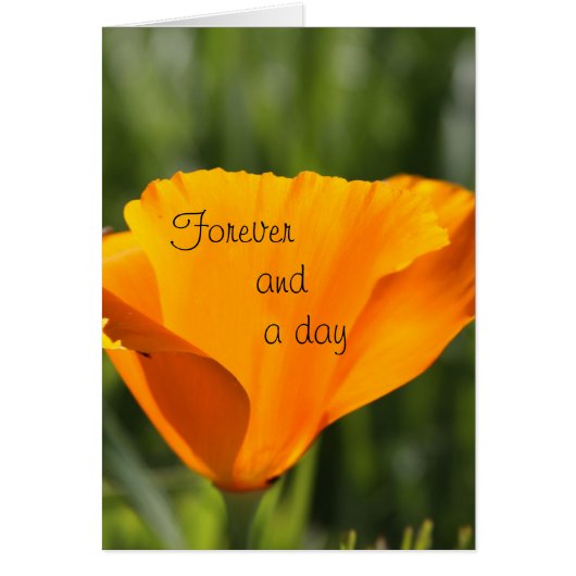 永久にそして日 (正面)