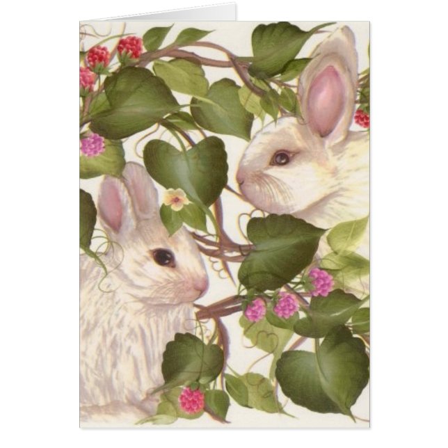 永久にバニー (正面)