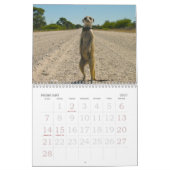 永久に伝説-カレンダー カレンダー (2月 2027)