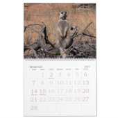 永久に友人- Meerkatのカレンダー カレンダー (2月 2027)
