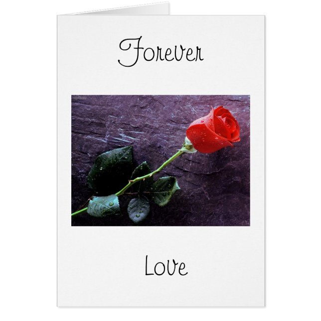 永久に愛 (正面)