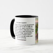 永久に050羽のブルーバード11のozのクラシックのマグ マグカップ (正面左)