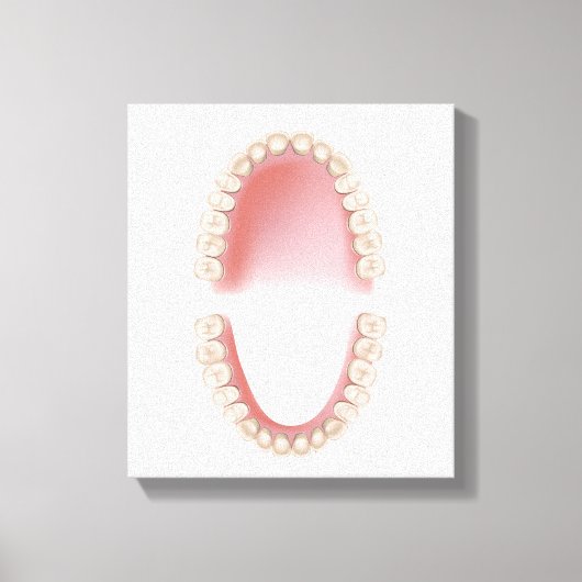 永久歯成歯 キャンバスプリント (正面)