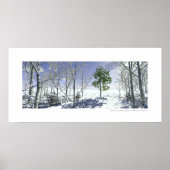 永続性 – 持続 ポスター (正面)