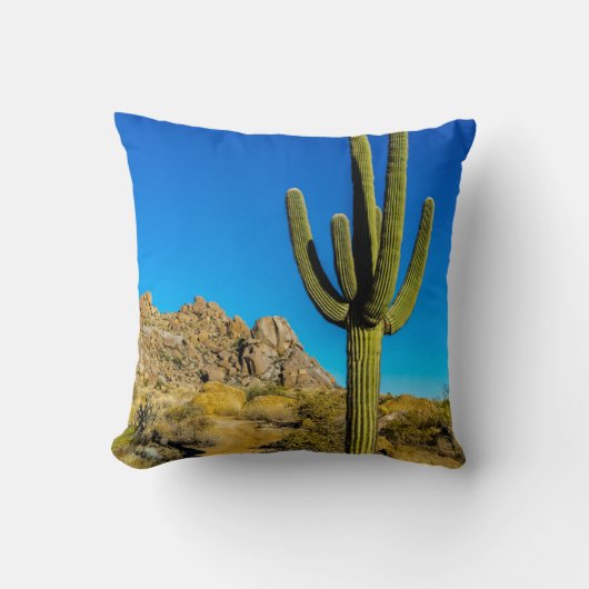 永続的なサボテン クッション (正面)