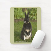 永続的なレックスのウサギ マウスパッド (マウス)