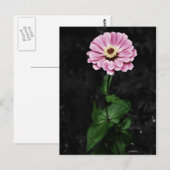 永続的な印象 ポストカード (正面/裏面)