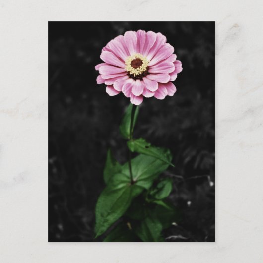 永続的な印象 ポストカード (正面)