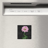 永続的な印象 マグネット (インサイチュ (食洗機))