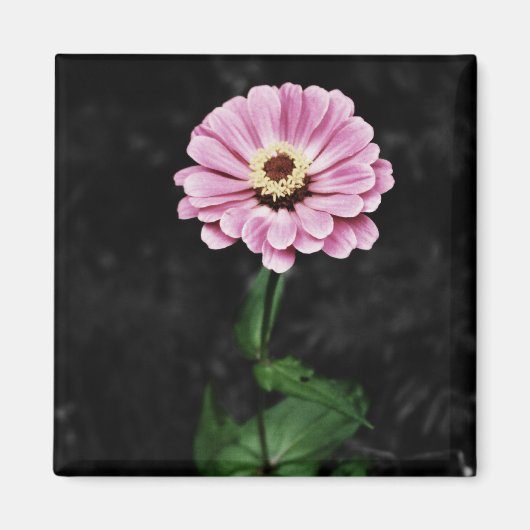 永続的な印象 マグネット (正面)