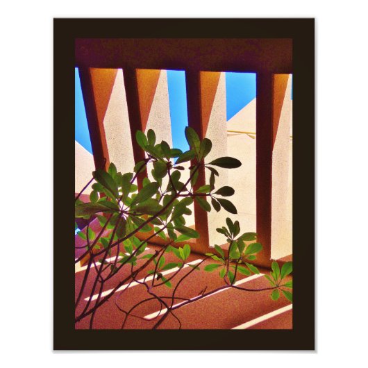 永続的な植物 フォトプリント            (正面)