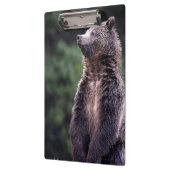 永続的な灰色グマ クリップボード (左)