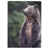 永続的な灰色グマ クリップボード (裏面)