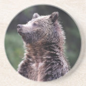 永続的な灰色グマ コースター (正面)