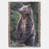 永続的な灰色グマ スローブランケット (正面縦)