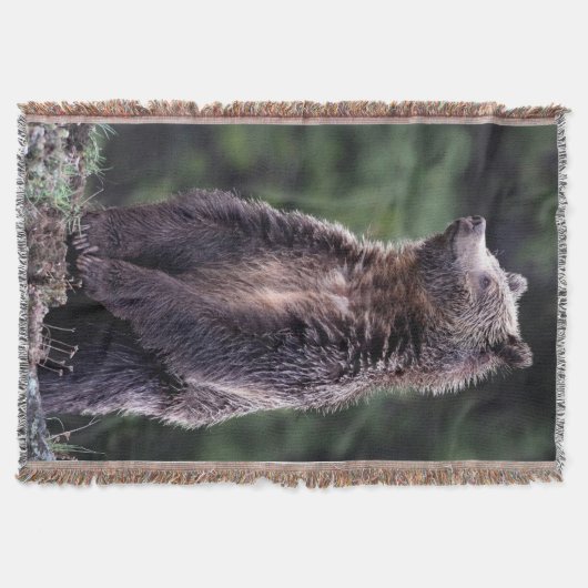 永続的な灰色グマ スローブランケット (正面)