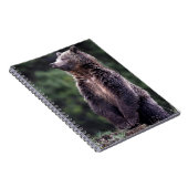 永続的な灰色グマ ノートブック (右側)