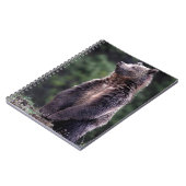 永続的な灰色グマ ノートブック (左側)