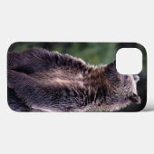 永続的な灰色グマ Case-Mate iPhoneケース (裏面 (横))