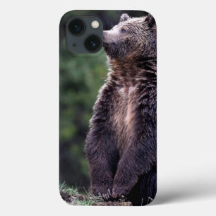 永続的な灰色グマ iPhone 13ケース
