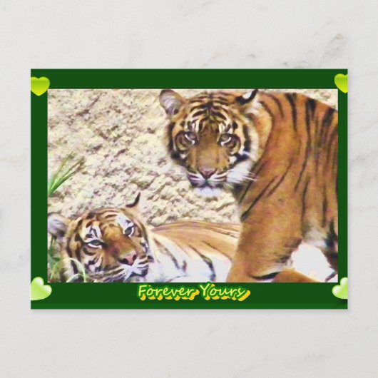 永遠にあなたのもの ポストカード (正面)