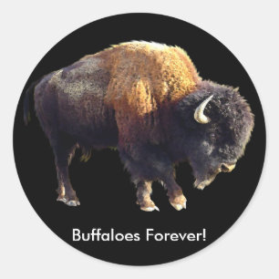 永遠にバファローズ!Bison Lover Artスタンプ ラウンドシール
