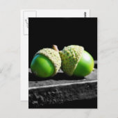 永遠に一緒 ポストカード (正面/裏面)