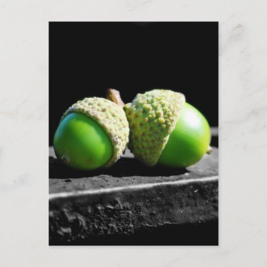 永遠に一緒 ポストカード (正面)