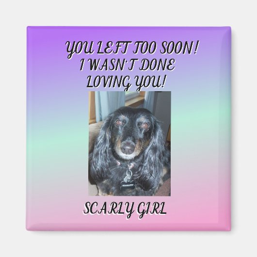 永遠に大切に：私の毛皮のベビー1の写真へのトリビュート マグネット (正面)