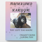 永遠に愛されたペットの追悼 フォトプラーク (正面)