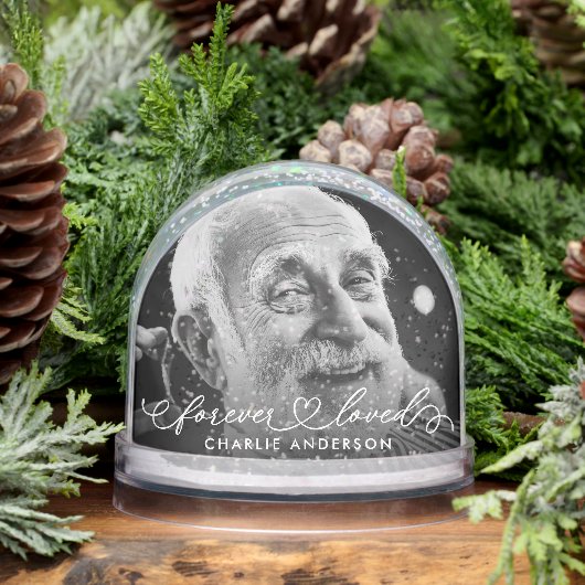 永遠に愛されモダンた書道台本2写真 (冬)