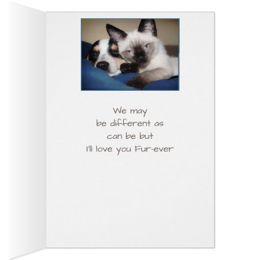 永遠に愛するカップルまたは毛皮の犬と猫のユーモア (内側 (右))