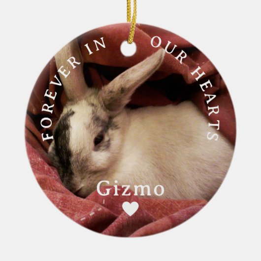 永遠に我々のハートでパーソナライズされたペット記念碑 セラミックオーナメント (正面)